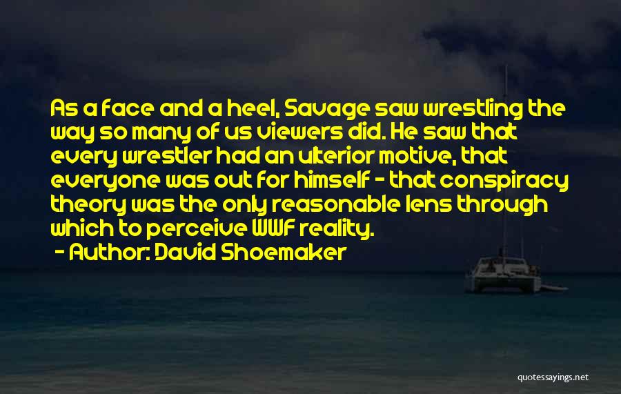 Best Conspiracy Theory Quotes By David Shoemaker