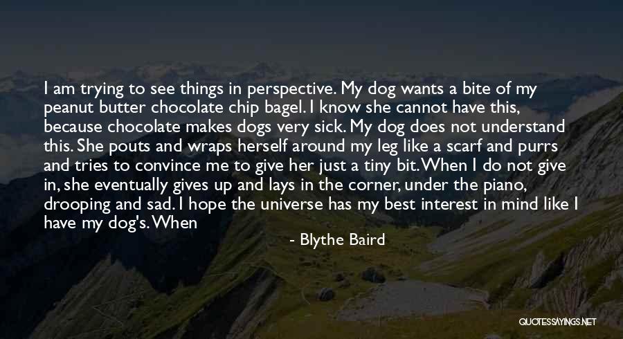 Best Convince Quotes By Blythe Baird