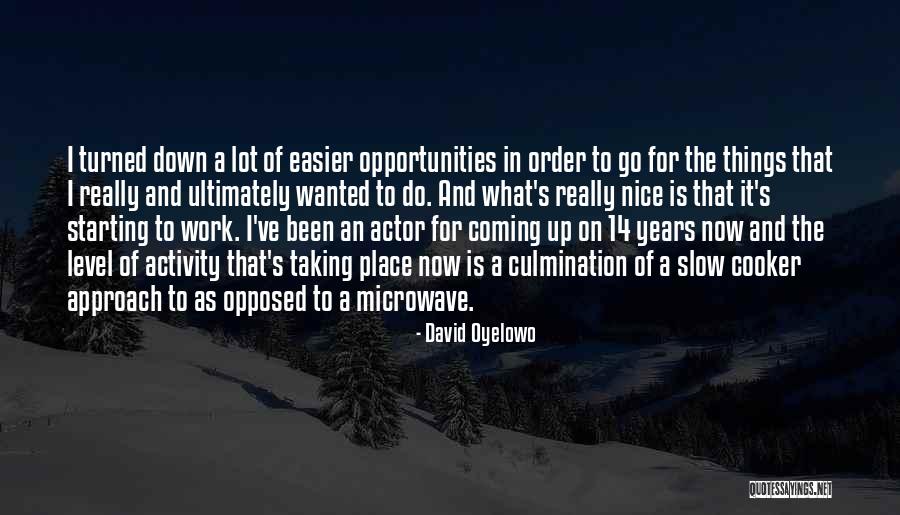Best Cooker Quotes By David Oyelowo Best Cooker Quotes By David Oyelowo