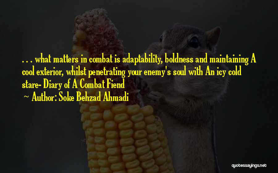 Best Cool Attitude Quotes By Soke Behzad Ahmadi