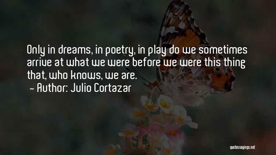 Best Cortazar Quotes By Julio Cortazar