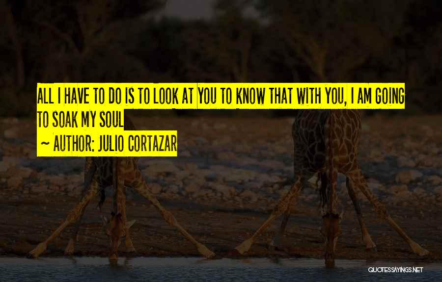 Best Cortazar Quotes By Julio Cortazar