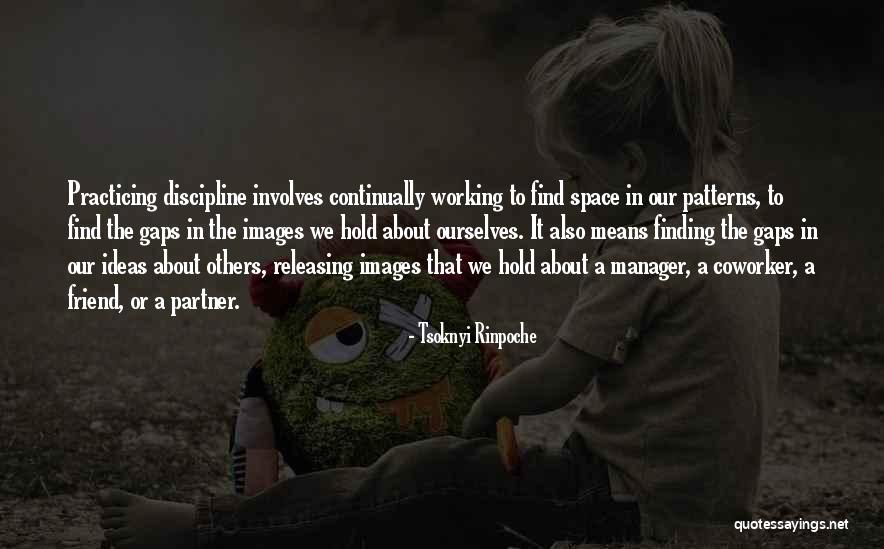 Best Coworker Quotes By Tsoknyi Rinpoche