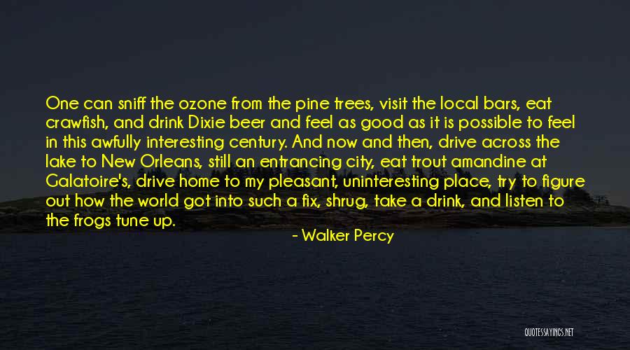 Best Crawfish Quotes By Walker Percy