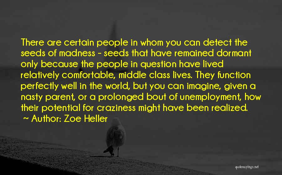 Best Craziness Quotes By Zoe Heller