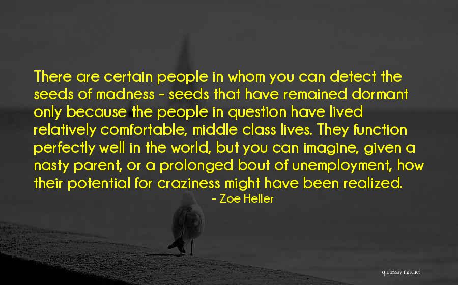 Best Craziness Quotes By Zoe Heller Best Craziness Quotes By Zoe Heller