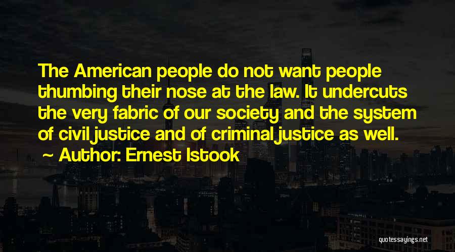 Best Criminal Justice Quotes By Ernest Istook
