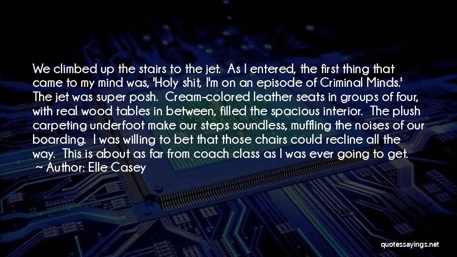 Best Criminal Minds Quotes By Elle Casey
