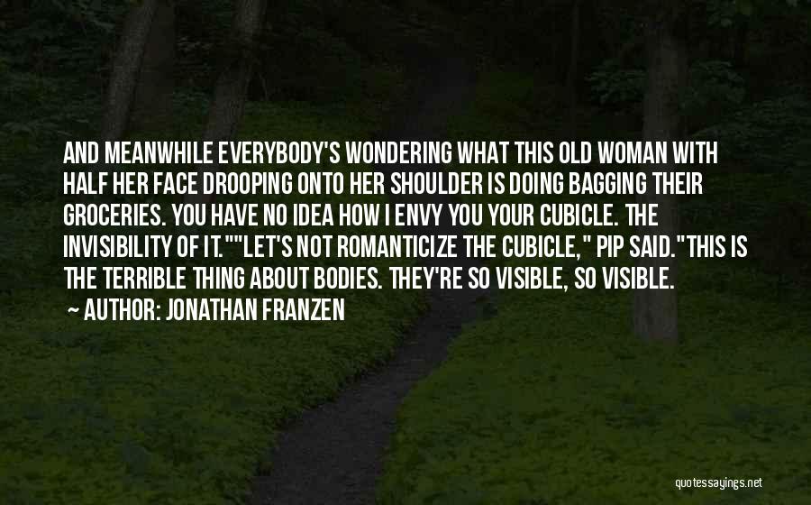 Best Cubicle Quotes By Jonathan Franzen