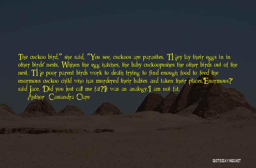 Best Cuckoo Nest Quotes By Cassandra Clare