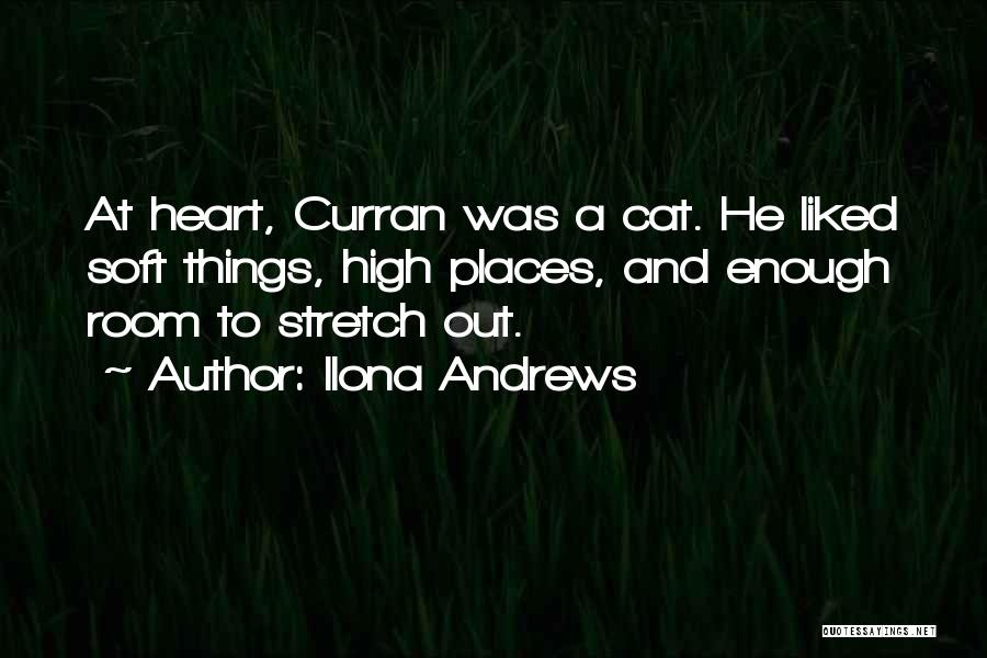 Best Curran Quotes By Ilona Andrews