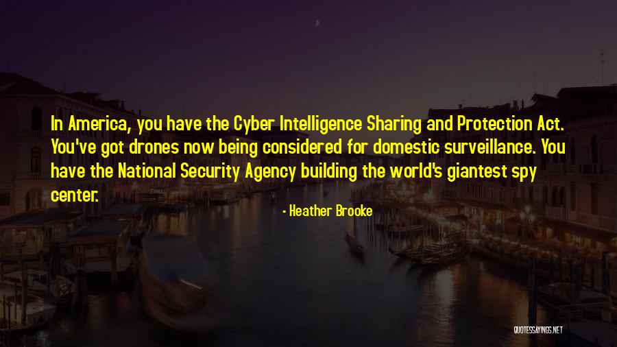 Best Cyber Quotes By Heather Brooke