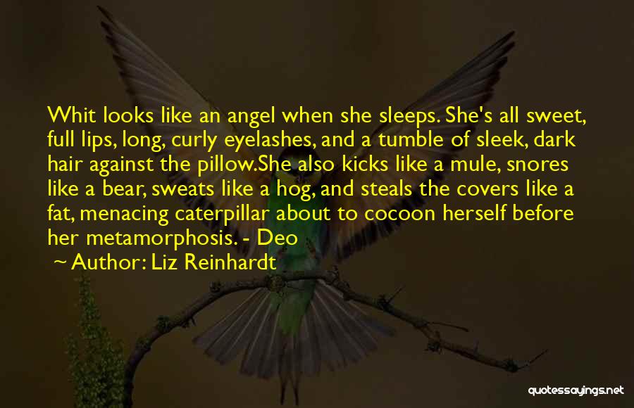 Best Dark Angel Quotes By Liz Reinhardt