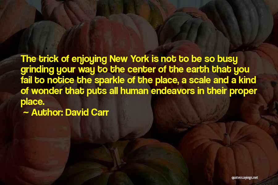 Best David Carr Quotes By David Carr