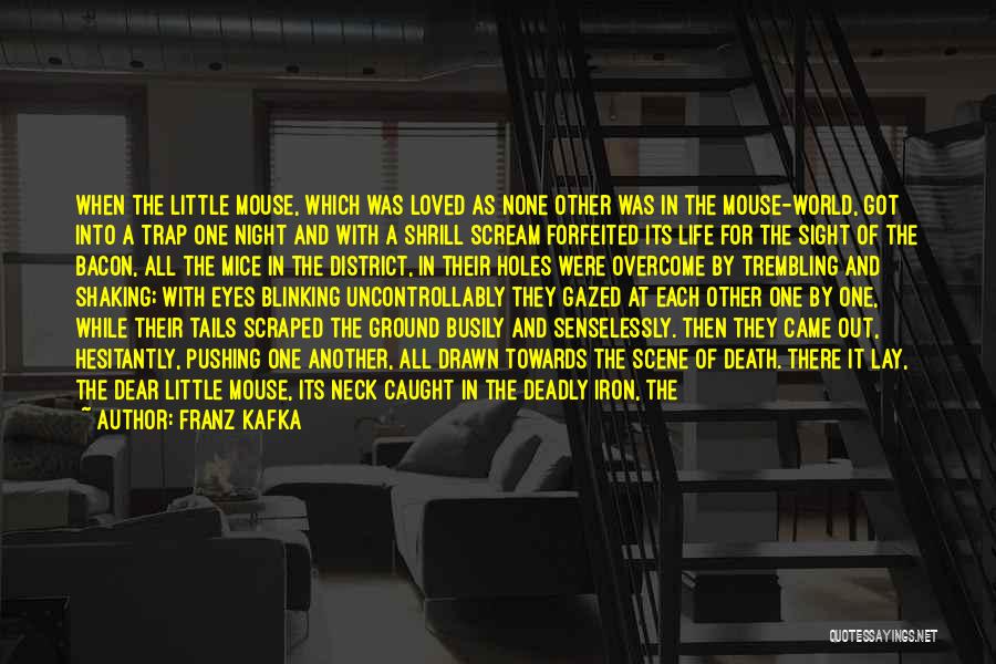 Best Death Scene Quotes By Franz Kafka