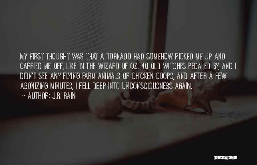 Best Deep Thought Quotes By J.R. Rain