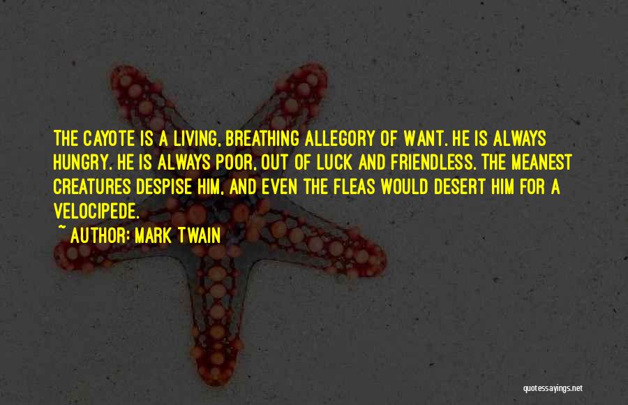 Best Despise Quotes By Mark Twain