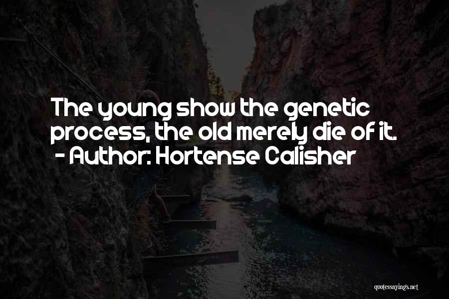 Best Die Young Quotes By Hortense Calisher