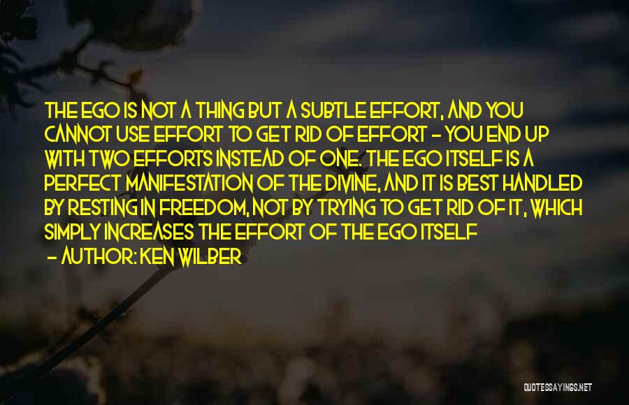 Best Divine Quotes By Ken Wilber