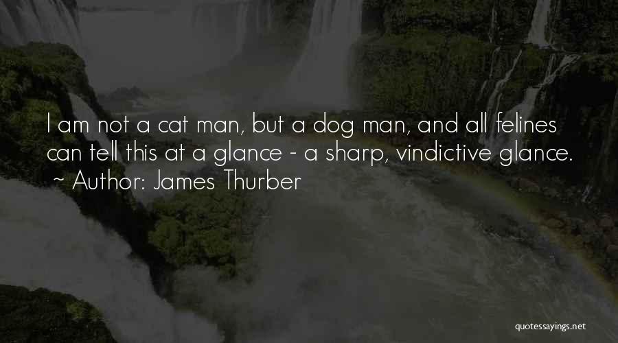 Best Dog And Cat Quotes By James Thurber