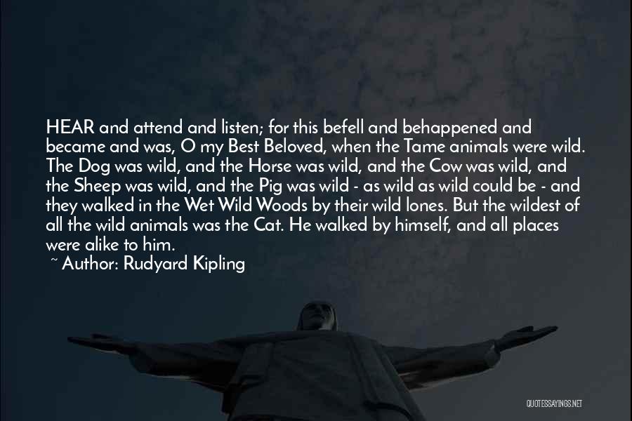 Best Dog And Cat Quotes By Rudyard Kipling