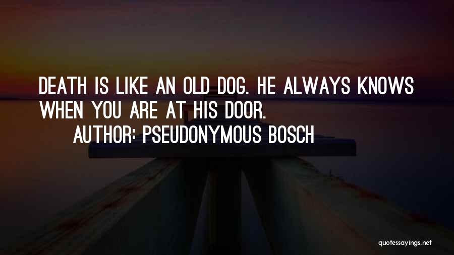 Best Dog Death Quotes By Pseudonymous Bosch