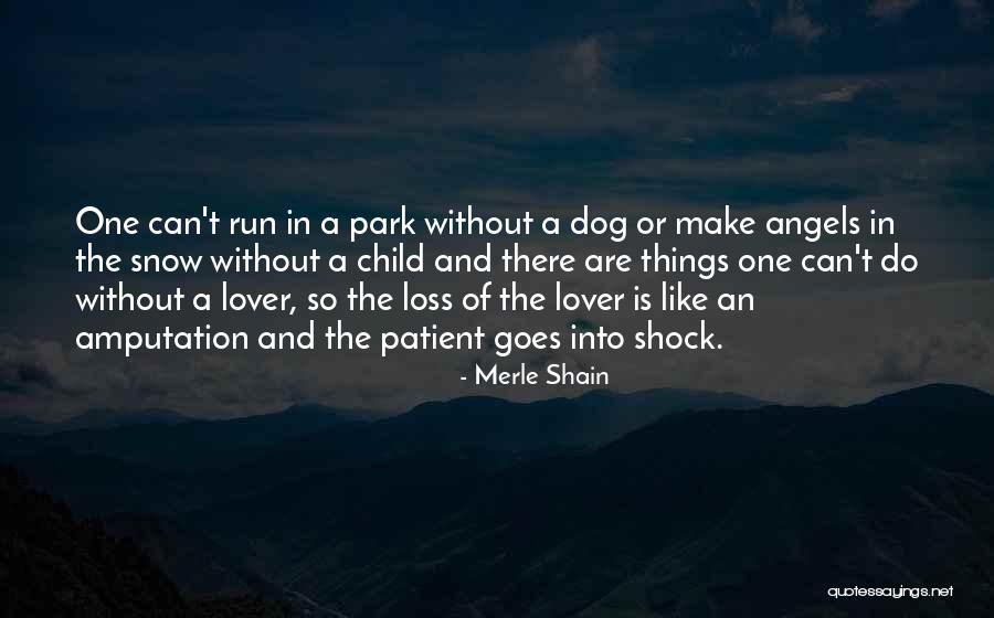 Best Dog Loss Quotes By Merle Shain Best Dog Loss Quotes By Merle Shain
