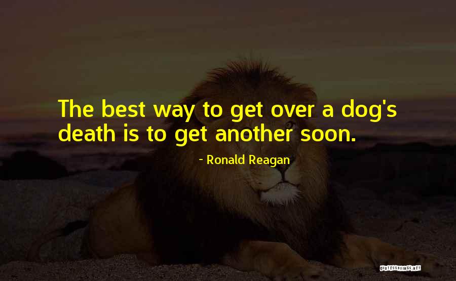 Best Dog Loss Quotes By Ronald Reagan Best Dog Loss Quotes By Ronald Reagan