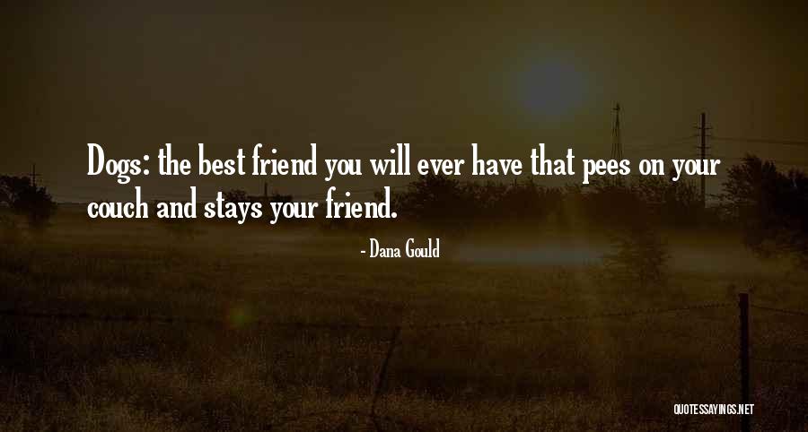 Best Dog Quotes By Dana Gould Best Dog Quotes By Dana Gould