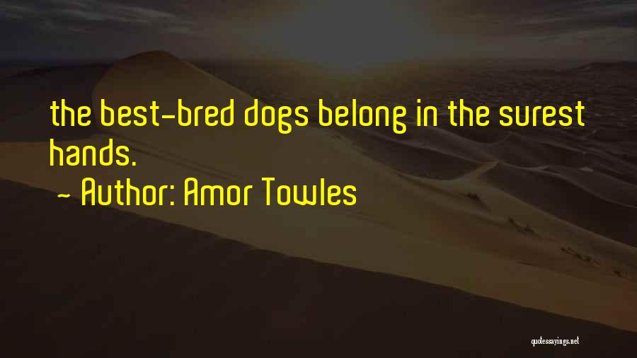 Best Dogs Quotes By Amor Towles