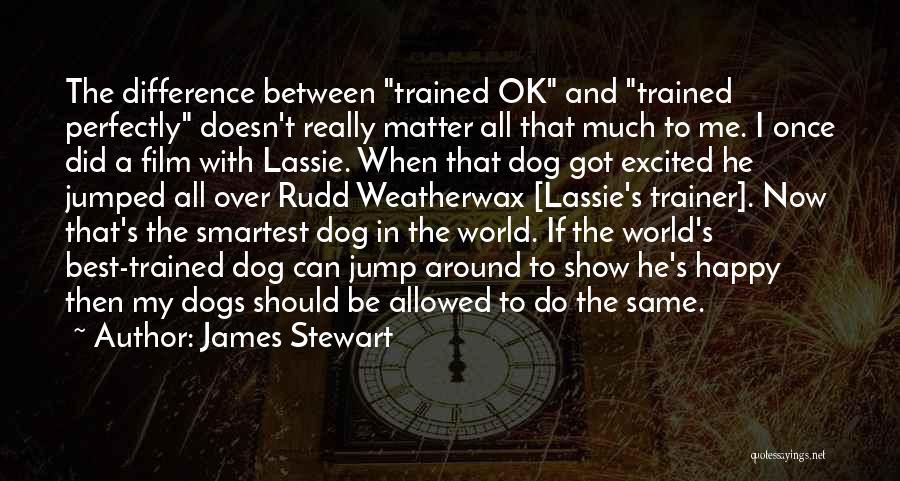 Best Dogs Quotes By James Stewart