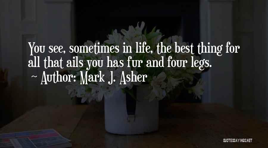Best Dogs Quotes By Mark J. Asher
