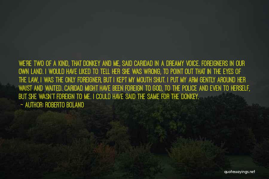 Best Donkey Quotes By Roberto Bolano