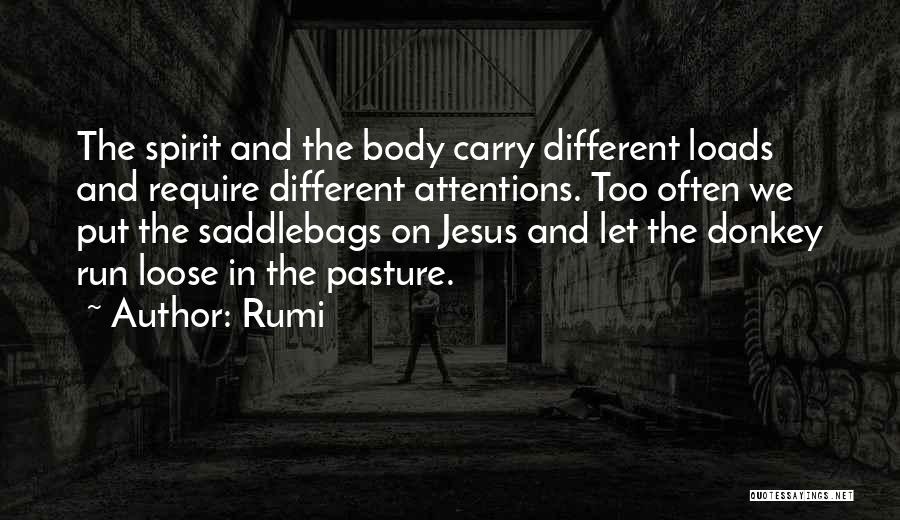Best Donkey Quotes By Rumi