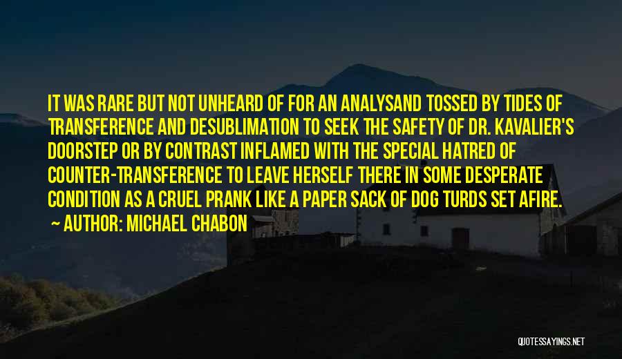 Best Dr Dog Quotes By Michael Chabon