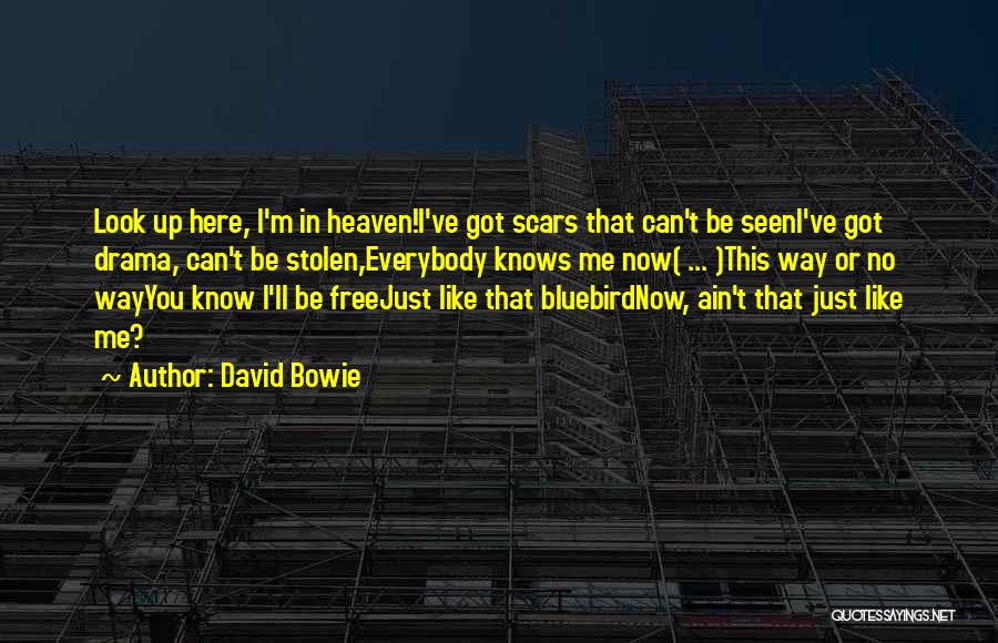 Best Drama Free Quotes By David Bowie