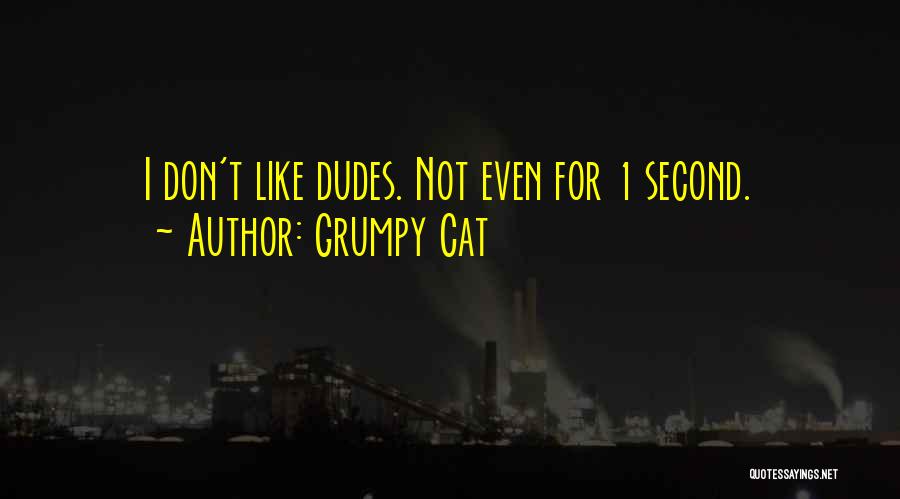 Best Dudes Quotes By Grumpy Cat