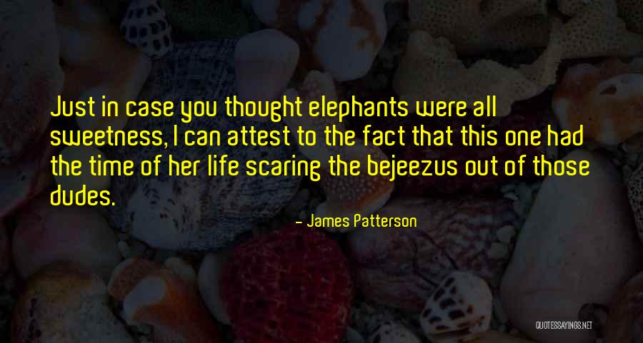 Best Dudes Quotes By James Patterson