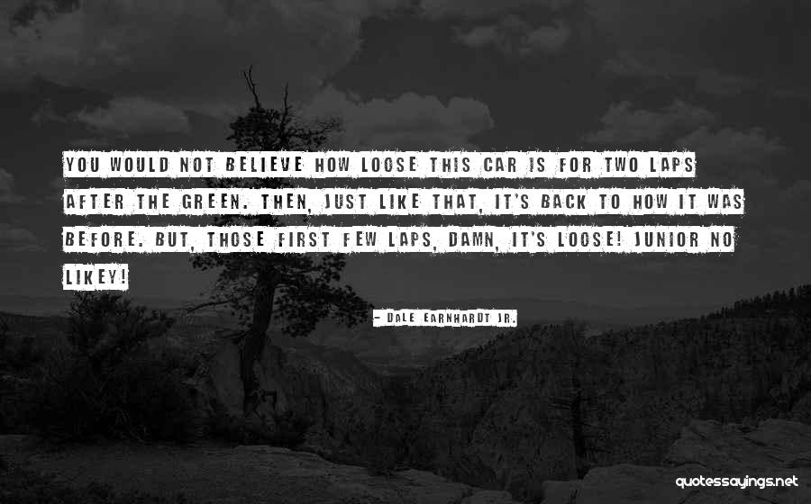 Best Earnhardt Quotes By Dale Earnhardt Jr. Best Earnhardt Quotes By Dale Earnhardt Jr.