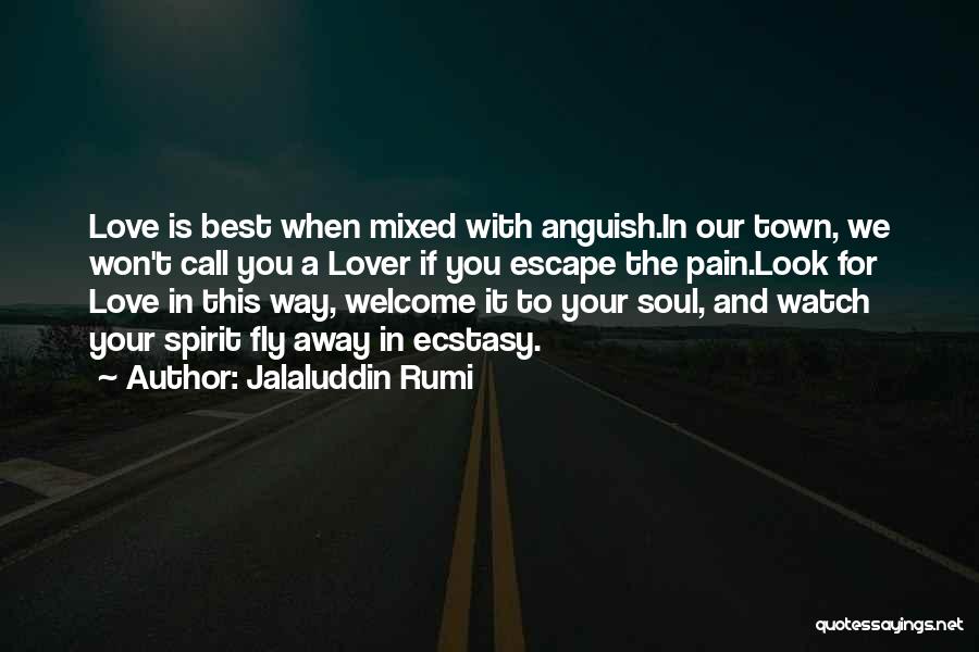 Best Ecstasy Quotes By Jalaluddin Rumi