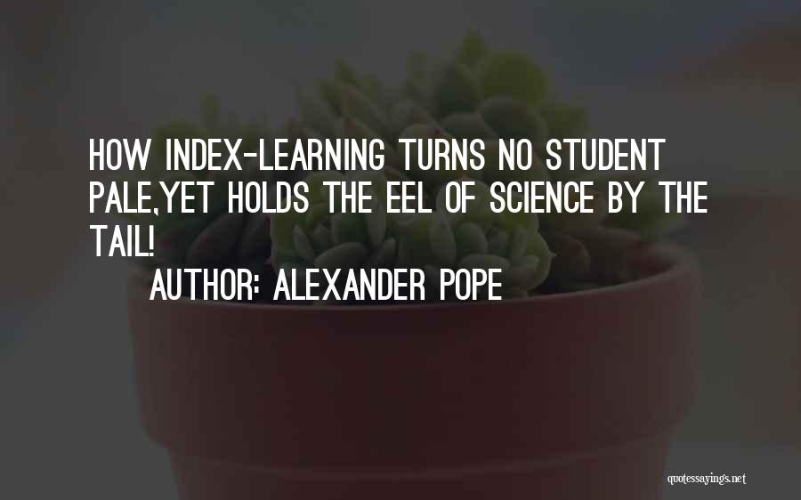 Best Eels Quotes By Alexander Pope