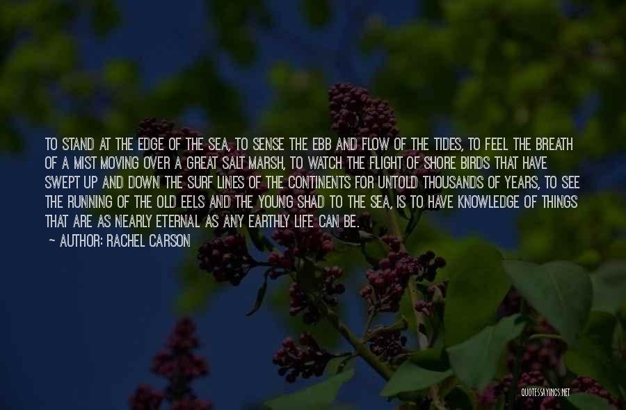 Best Eels Quotes By Rachel Carson