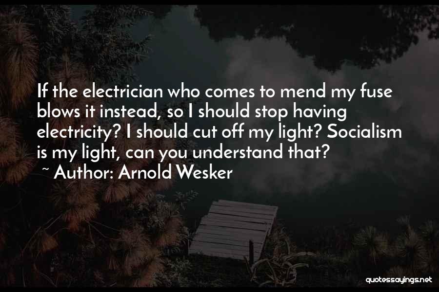 Best Electrician Quotes By Arnold Wesker