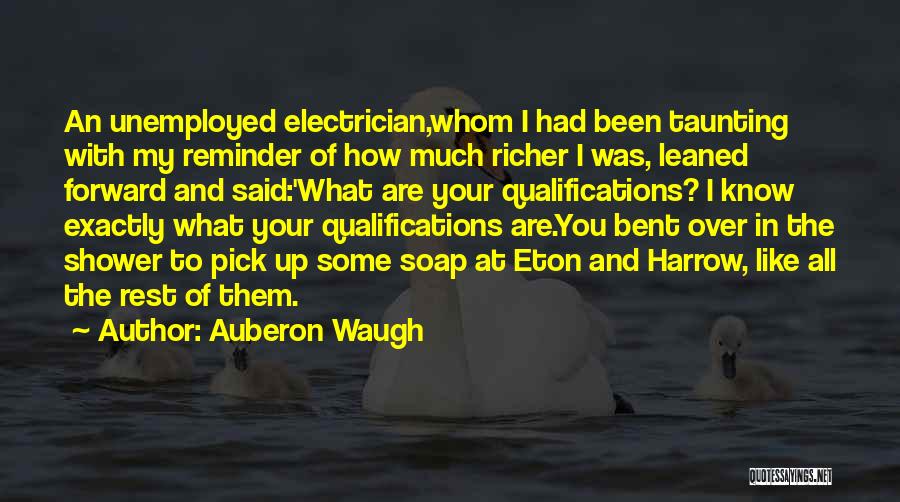 Best Electrician Quotes By Auberon Waugh
