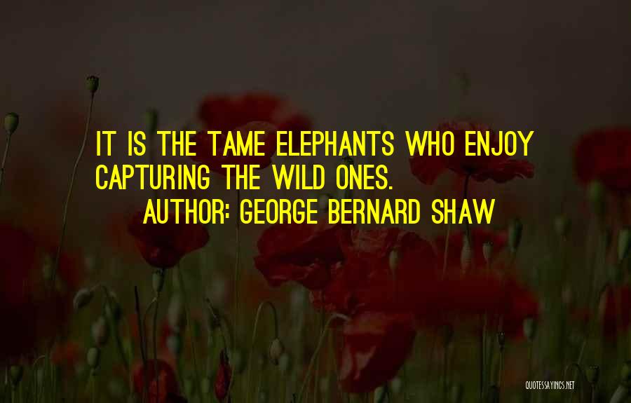 Best Elephants Quotes By George Bernard Shaw