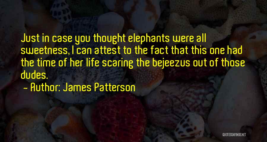 Best Elephants Quotes By James Patterson