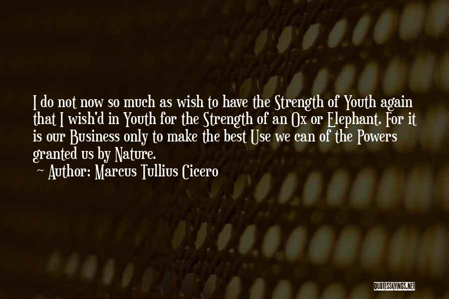 Best Elephants Quotes By Marcus Tullius Cicero