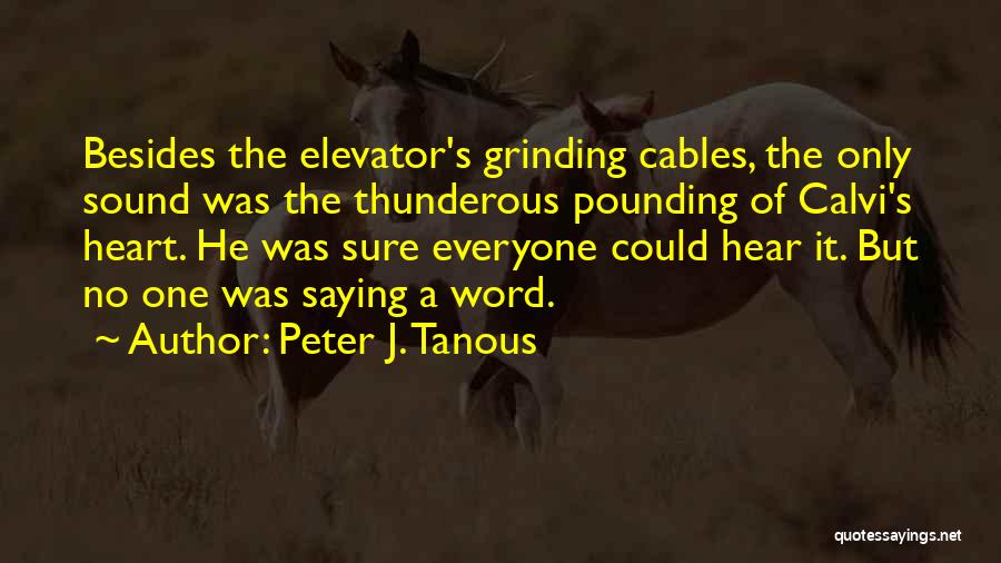 Best Elevator Quotes By Peter J. Tanous