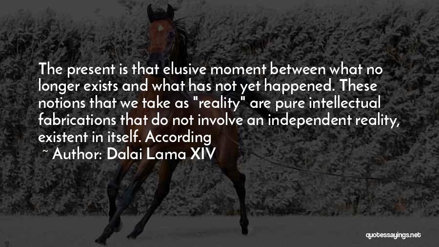 Best Elusive Quotes By Dalai Lama XIV