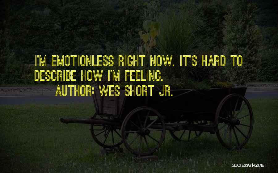 Best Emotionless Quotes By Wes Short Jr.